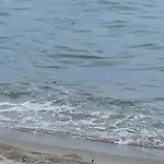 300m Dal Mare Calabria Amantea