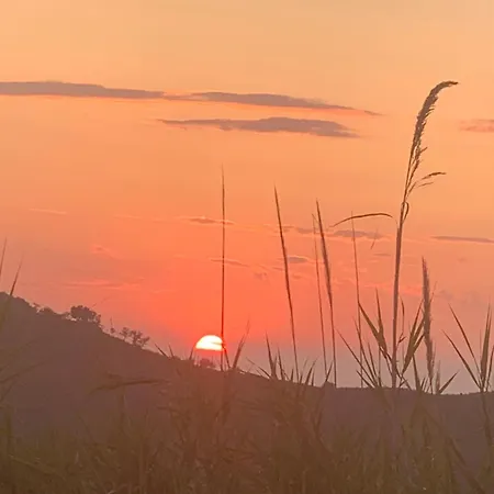 アパート 300m Dal Mare Calabria
