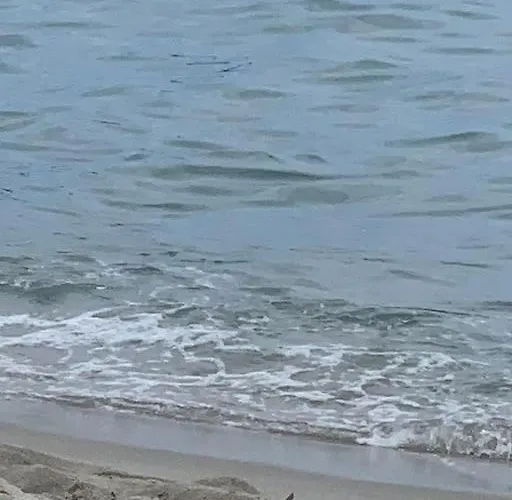 300m Dal Mare Calabria Amantea