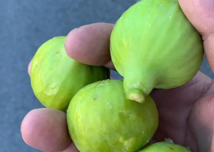 300m Dal Mare Calabria Apartamento